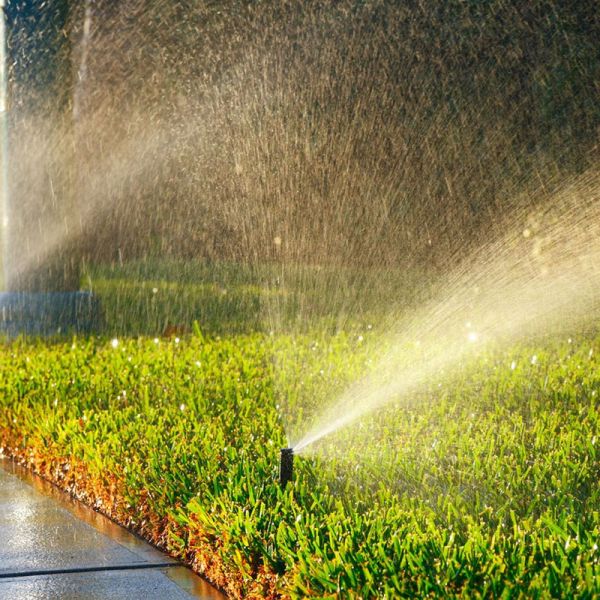 Hệ thống tưới nước tự động sân vườn