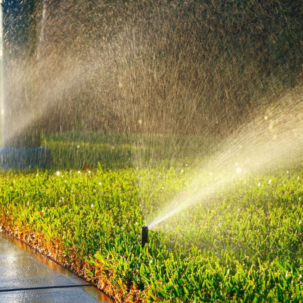 Hệ thống tưới nước tự động sân vườn
