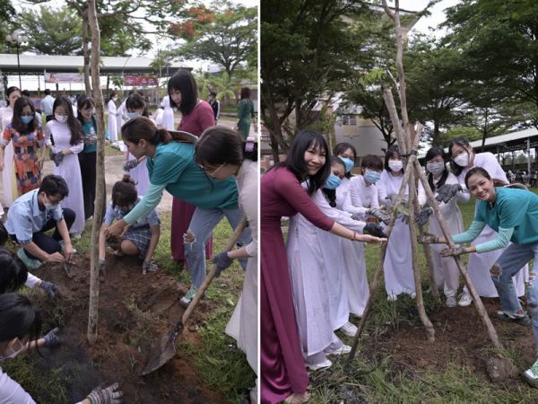 TP.HCM trồng gần 19.000 cây phân tán, ứng phó biến đổi khí hậu