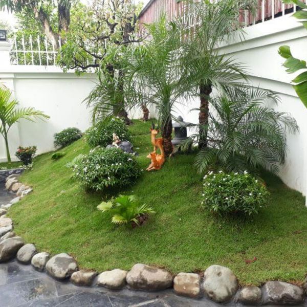 Tiểu cảnh ngoại thất