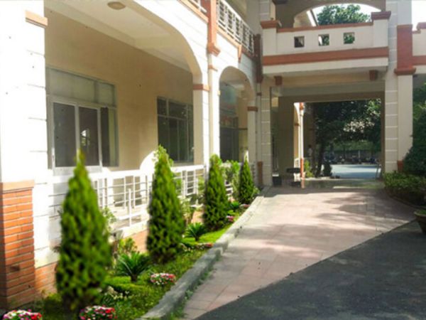 Thiết kế thi công cảnh quan cty Phú Tài