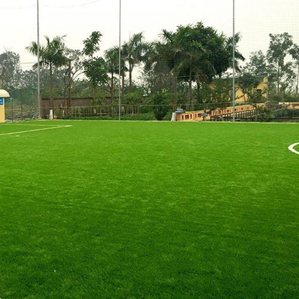 Thảm cỏ nhân tạo sân bóng