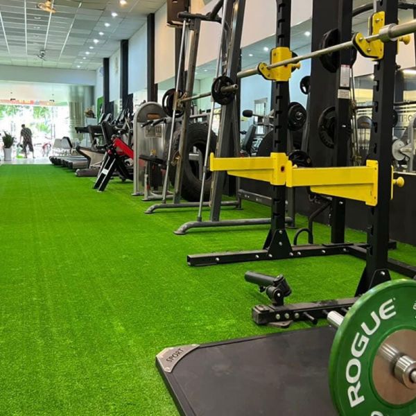 Thi công thảm cỏ nhân tạo phòng gym - phòng tập