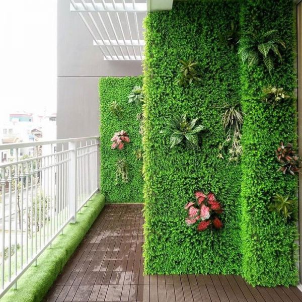 Thi công thảm cỏ nhân tạo tường nhà