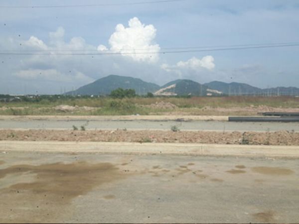 Thi công cảnh quan đường cảng Cái Mép