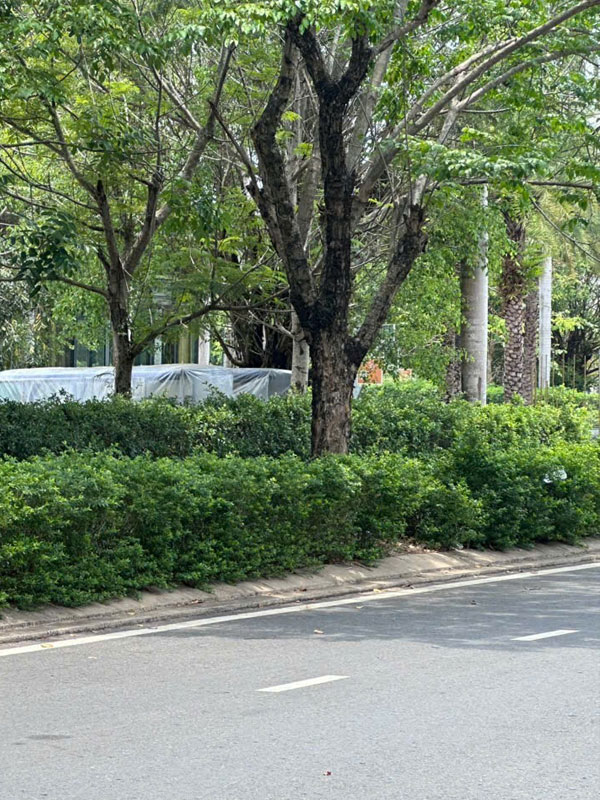 Thi công đường khu dân cư